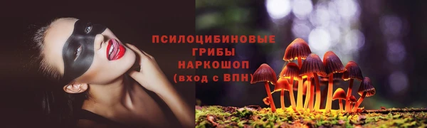 дурь Белокуриха