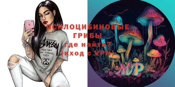 дурь Белокуриха