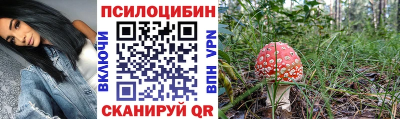 купить наркотики цена  hydra ССЫЛКА  Галлюциногенные грибы мицелий  Плёс 
